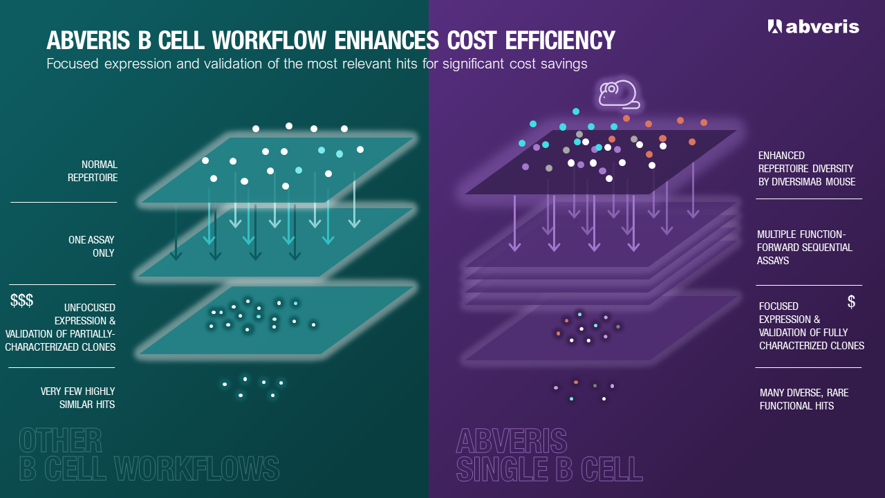 ABVERIS B CELL WORKFLOW ENHANCES COST EFFICIENCY