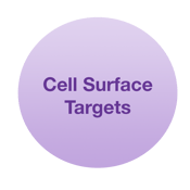 Cell surface-1