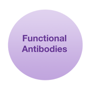 Functional antibodies