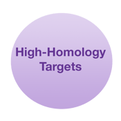 High homology-2