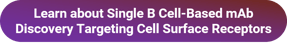 Single B Cell for Cell Surface Receptor Button
